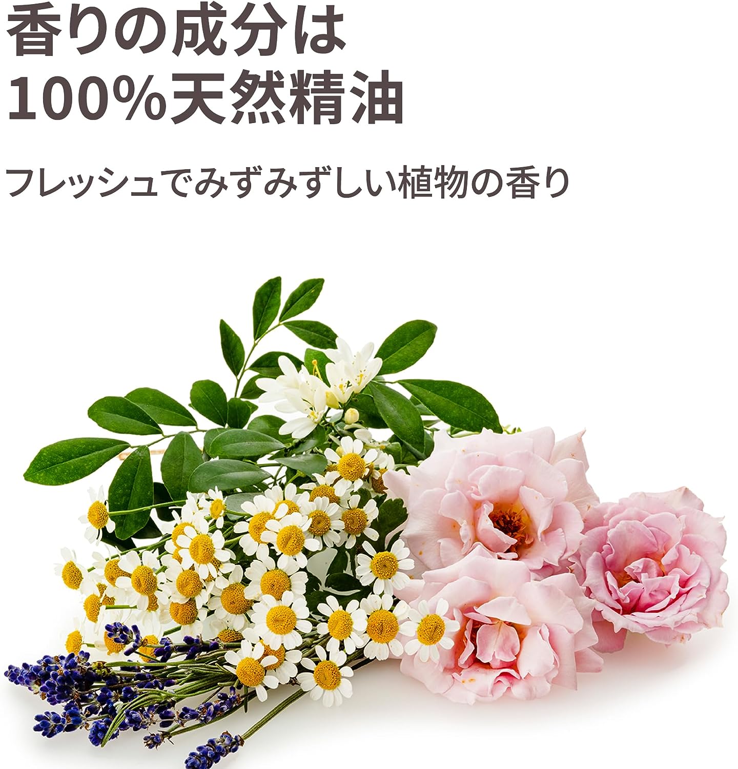 スチームクリーム 75g
