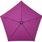 Pentagon72 Cassis Grape