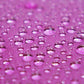 Pentagon72 Cassis Grape