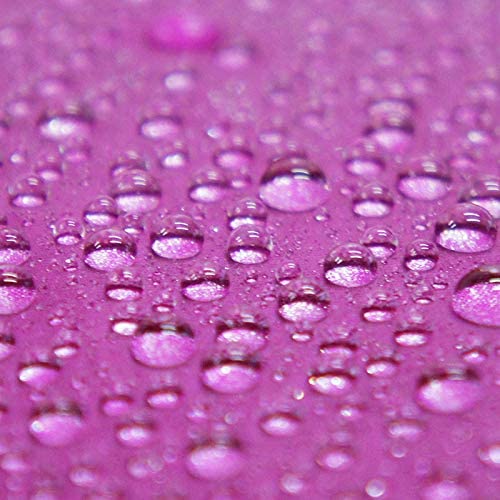 Pentagon72 Cassis Grape